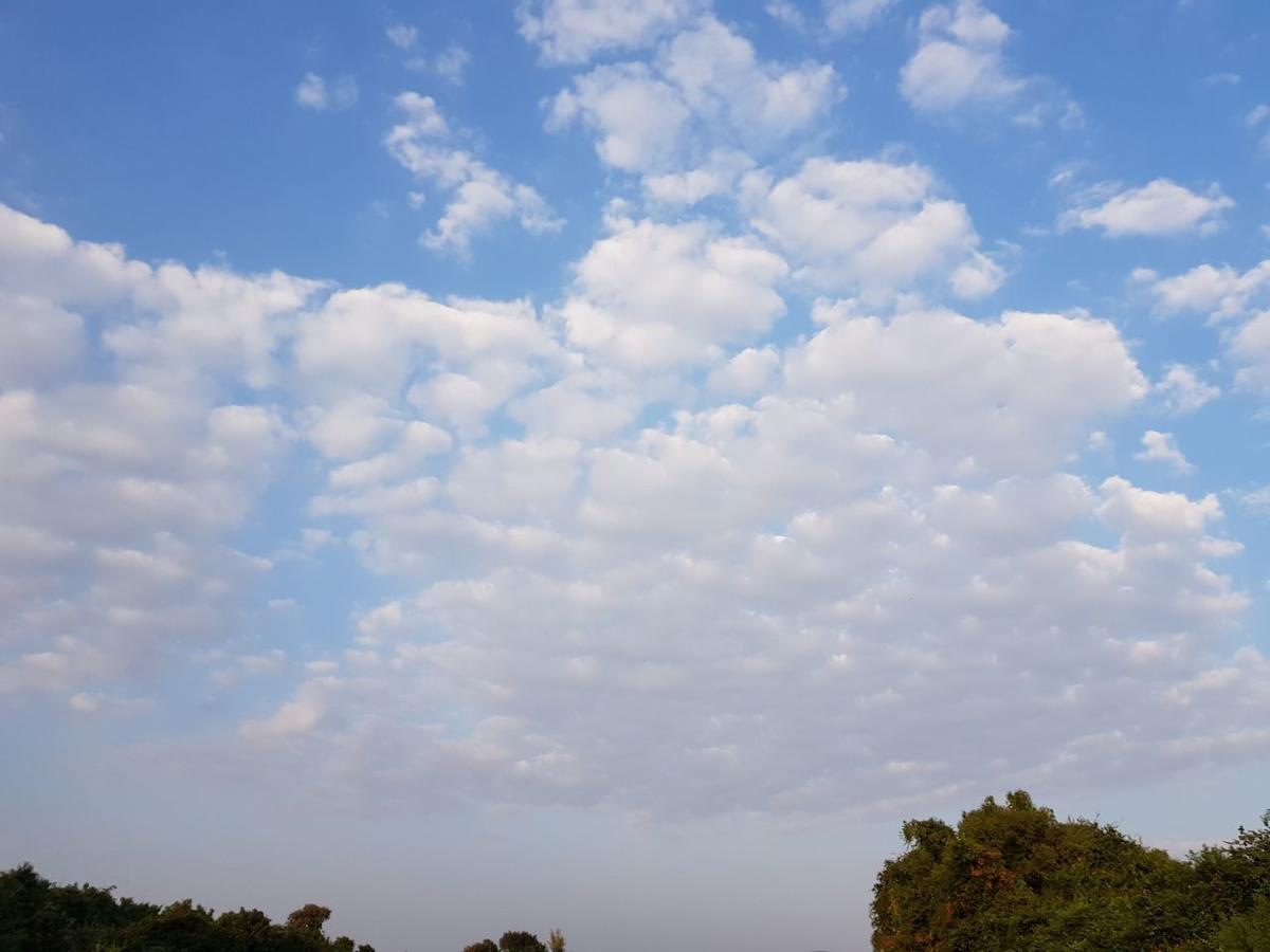 Hiran Holidays Sasan Gir Zewnętrze zdjęcie