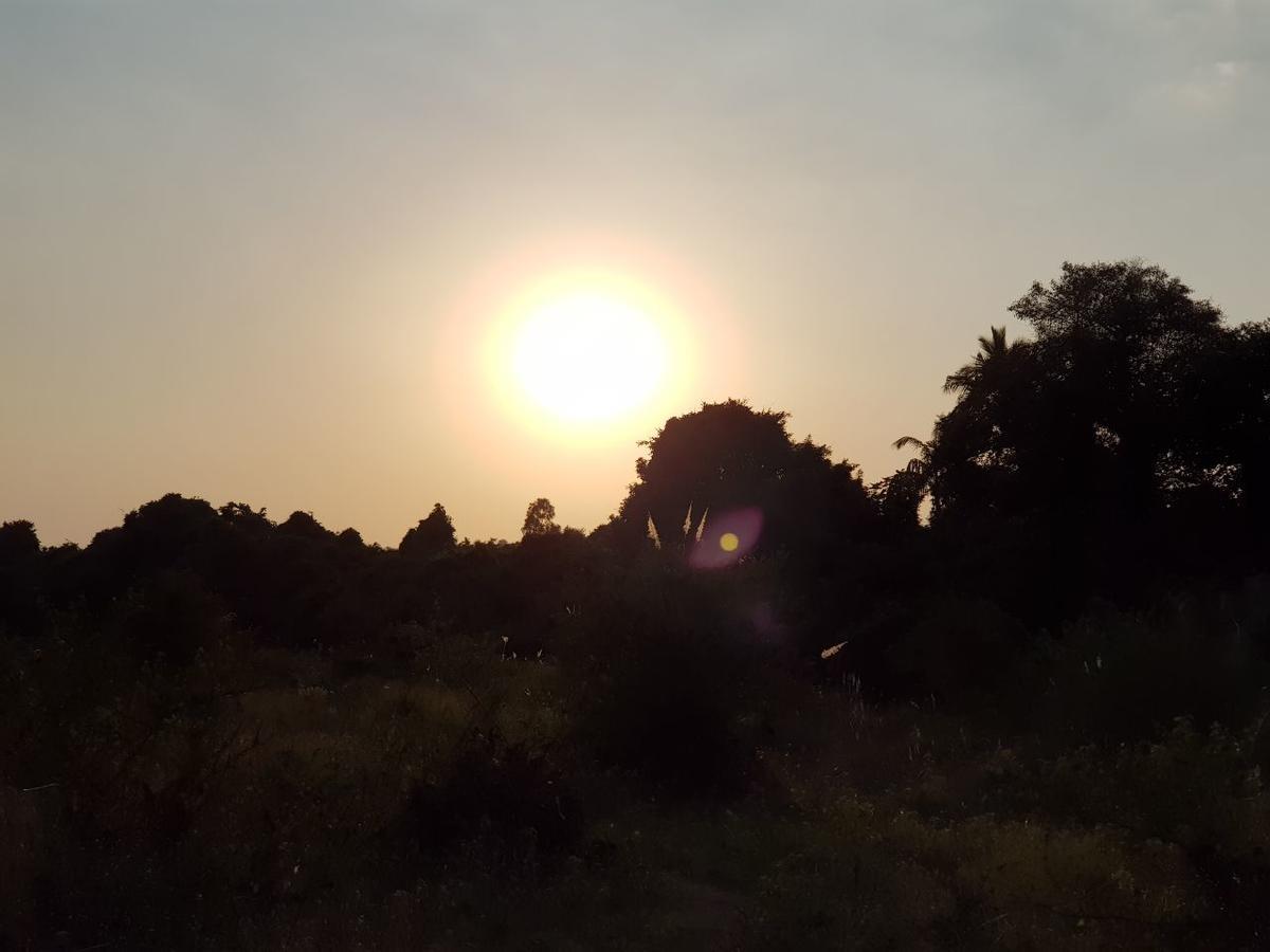 Hiran Holidays Sasan Gir Zewnętrze zdjęcie