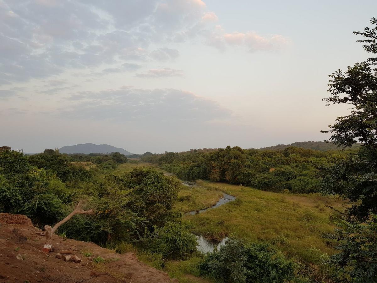Hiran Holidays Sasan Gir Zewnętrze zdjęcie